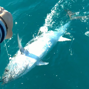 162161673_2838886343045243_964704669298020731_n fishing drifting in salento www.quarantesimoparallelo.it